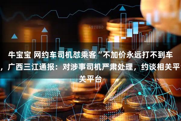 牛宝宝 网约车司机怼乘客“不加价永远打不到车”，广西三江通报：对涉事司机严肃处理，约谈相关平台