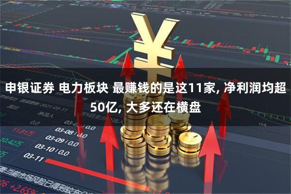 申银证券 电力板块 最赚钱的是这11家, 净利润均超50亿, 大多还在横盘